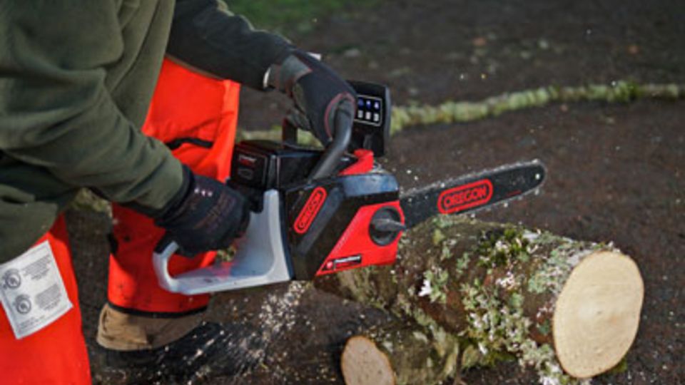 Oregon CS250