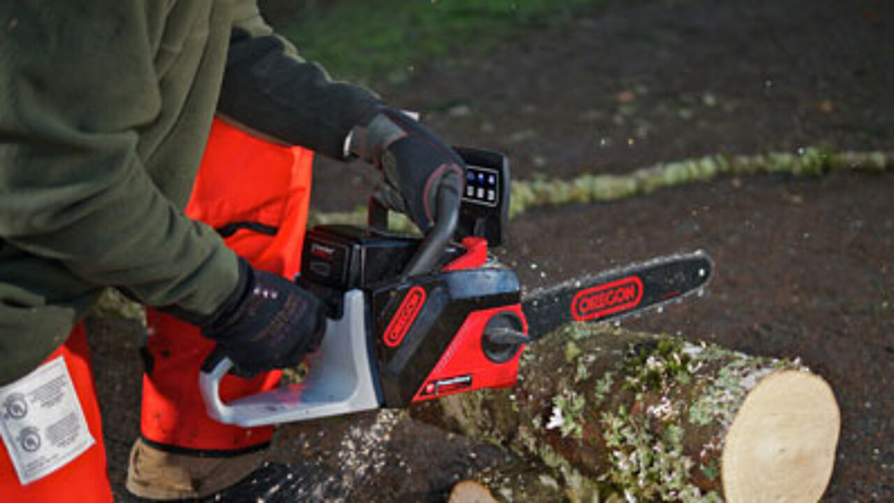 Oregon CS250