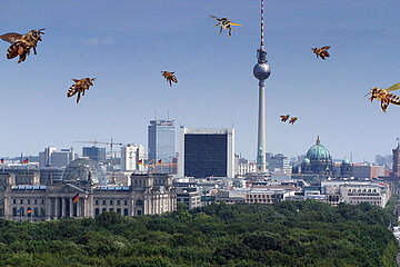 Honigbienen