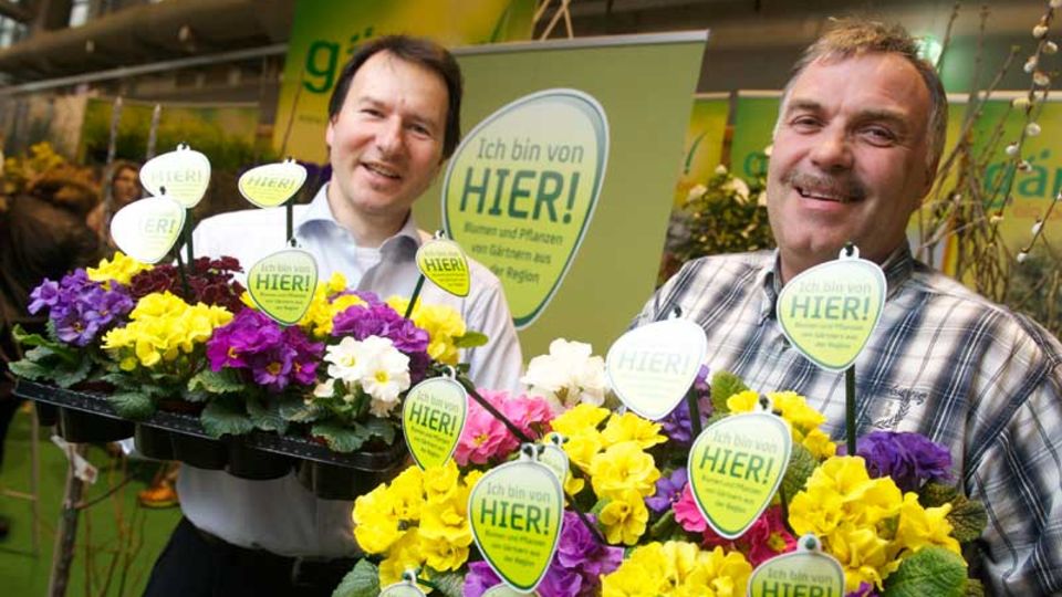 Blumen und Pflanzen