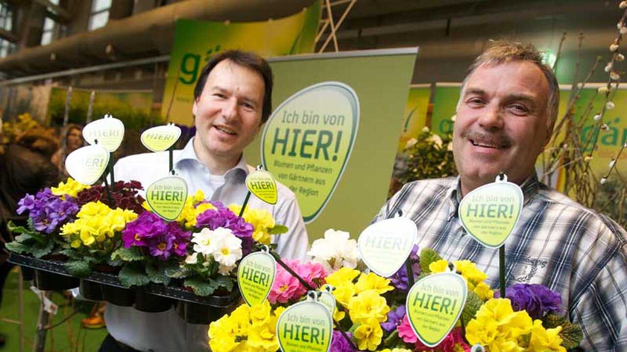 Blumen und Pflanzen