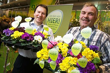 Blumen und Pflanzen