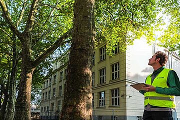 Kranker Baum