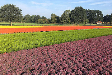 Image-13406