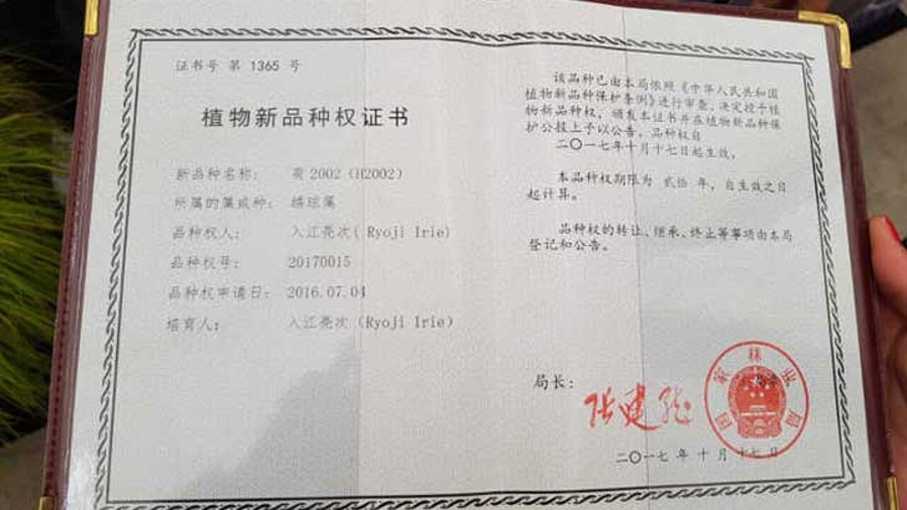 image-9417