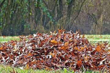 Laubhaufen im Garten