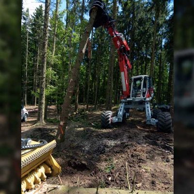 Waldmanagement