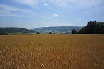 Agrarlandschaft