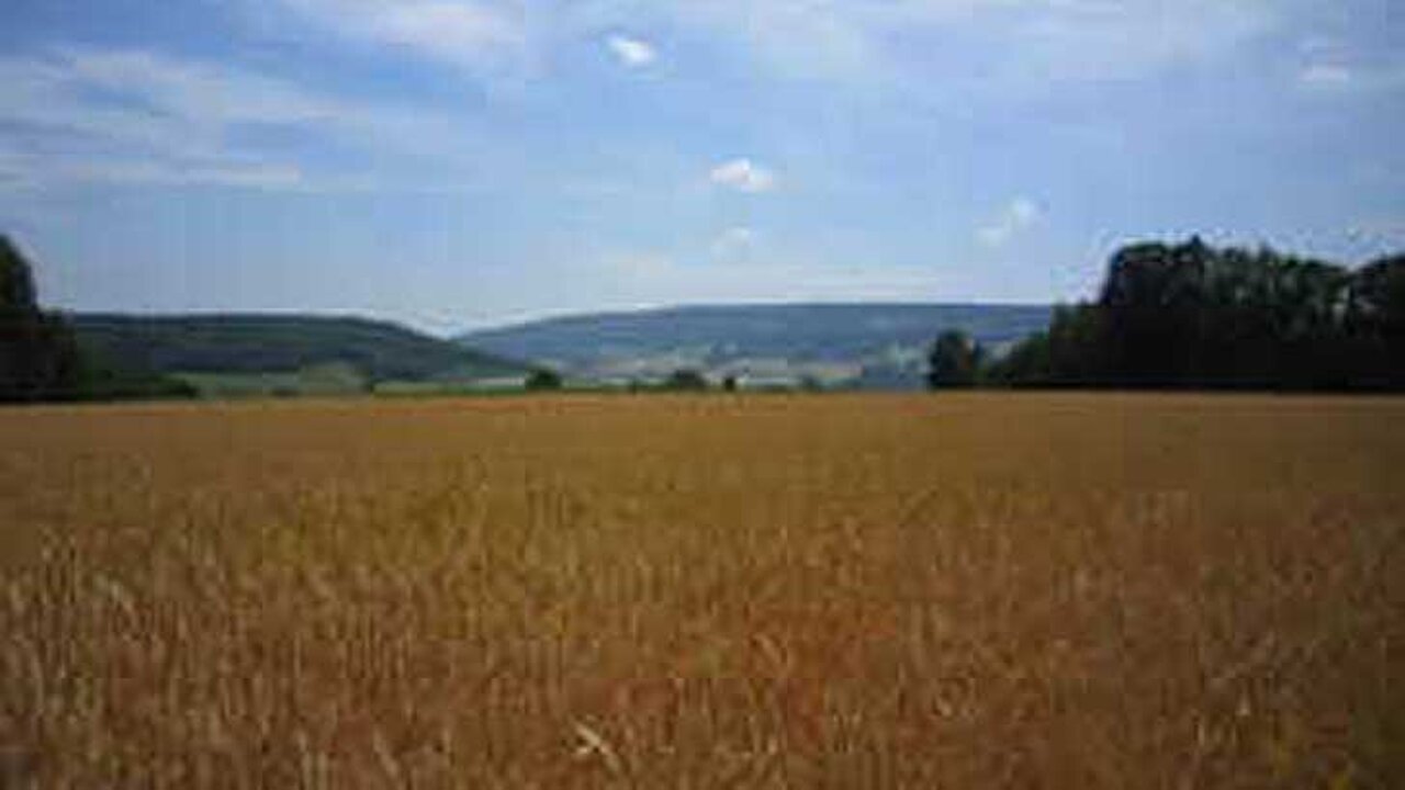 Agrarlandschaft