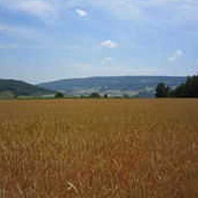 Agrarlandschaft