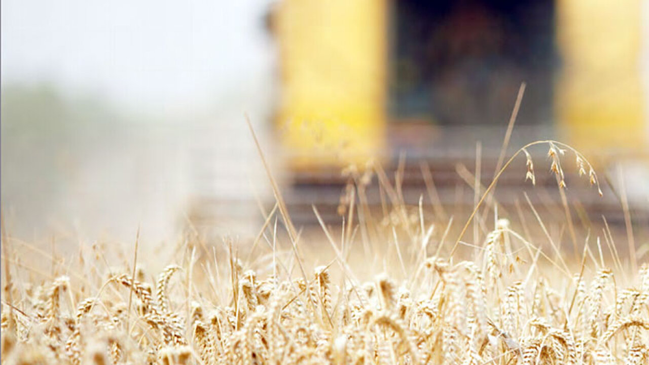 Landwirtschaft