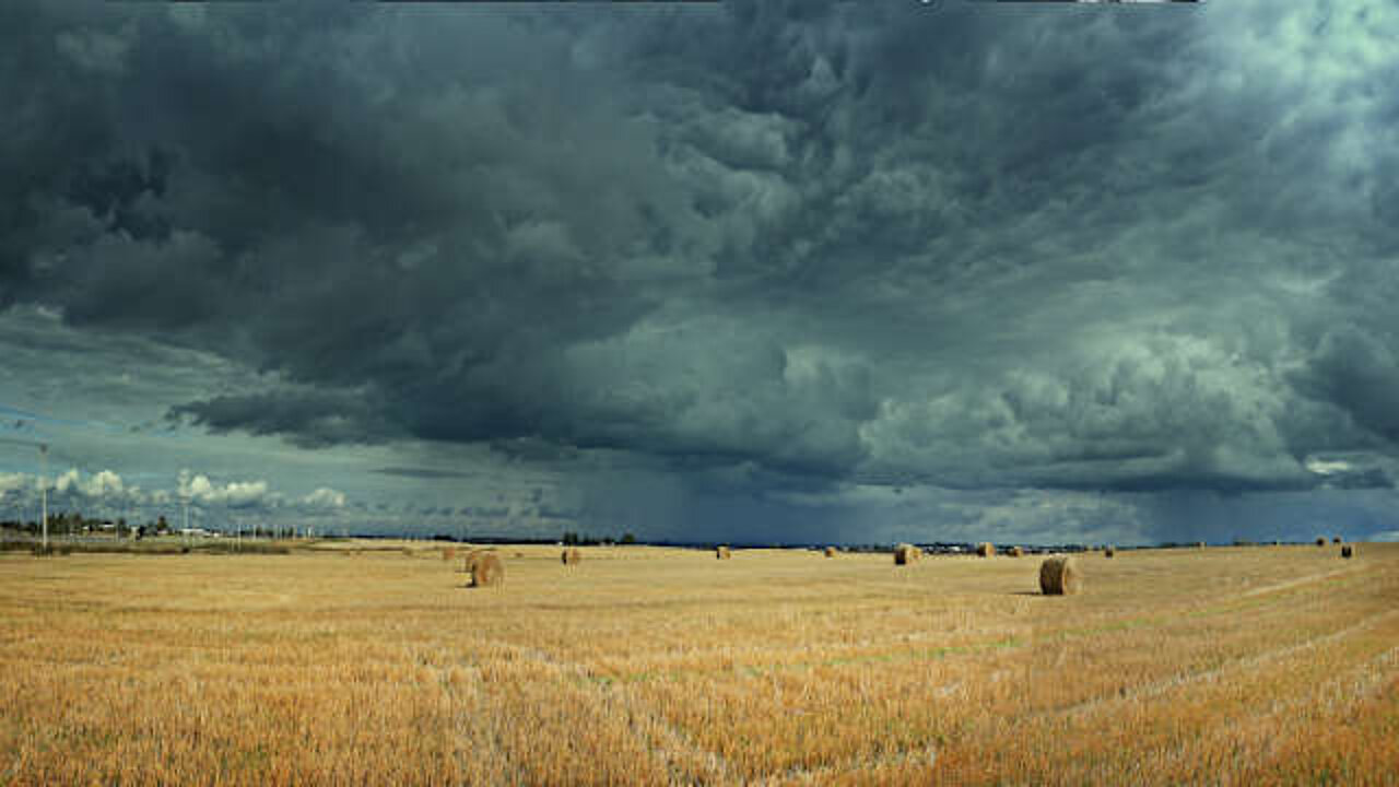 image-17504