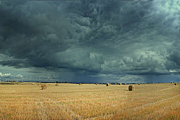 Image-17504