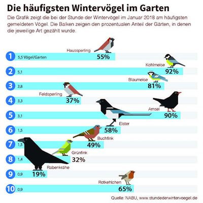Grafik