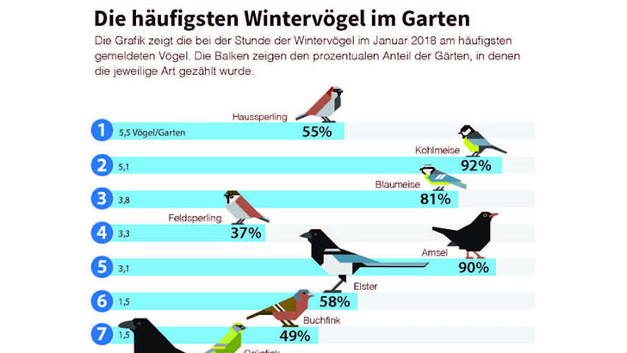 Grafik