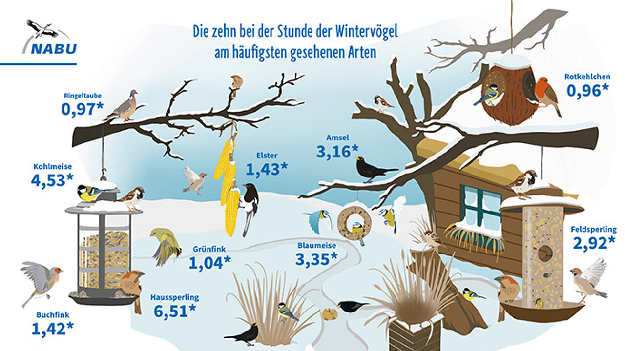 Wintervögel