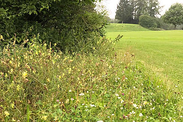 Image-16938