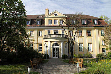Image-19244