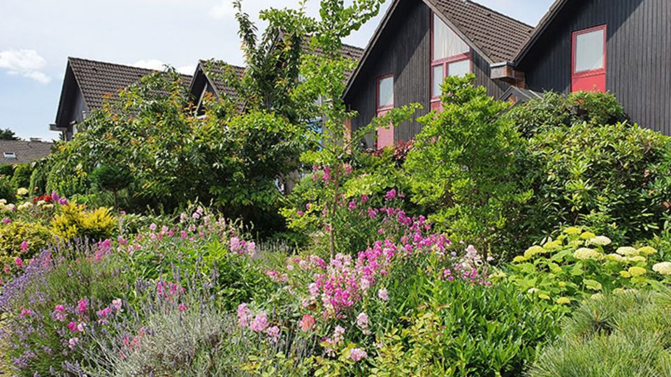 Pflanzen im Vorgarten - kühlender Effekt