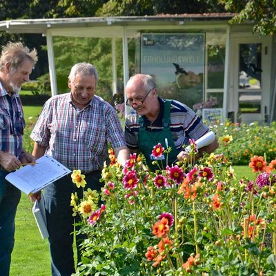 Dahlienprüfung im egapark