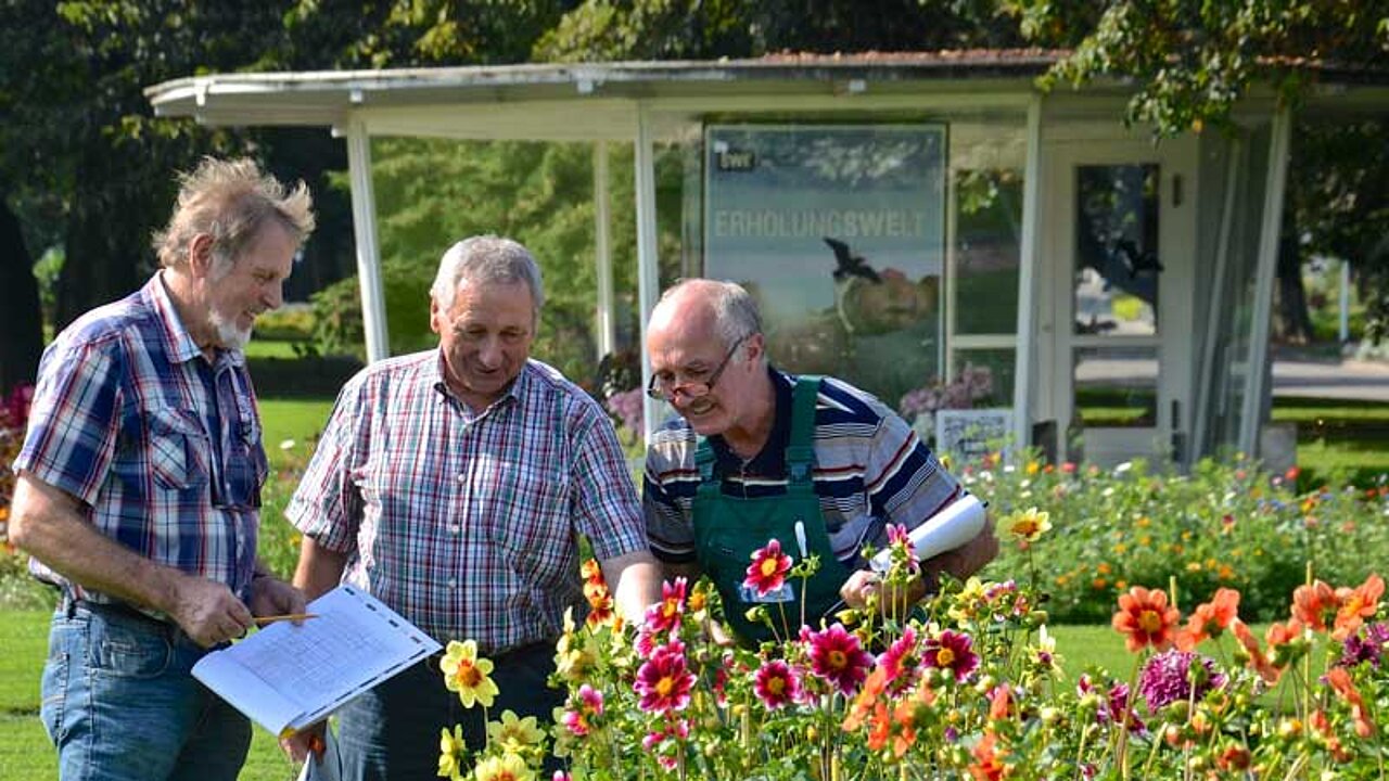 Dahlienprüfung im egapark