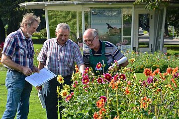 Dahlienprüfung im egapark