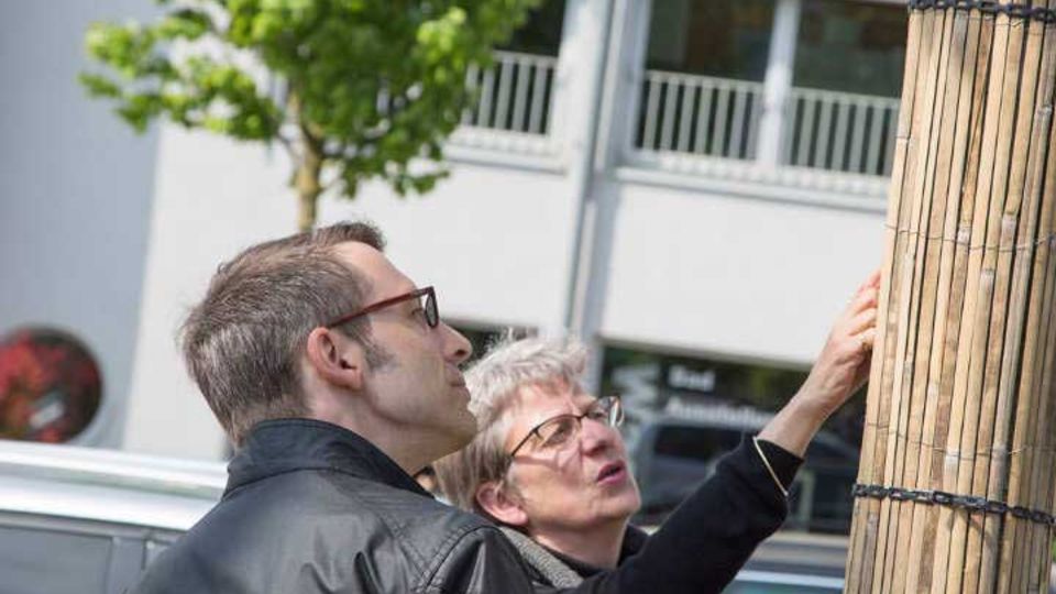 Fieberkurven von Bäumen