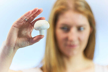 Champignon