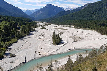 Image-17067