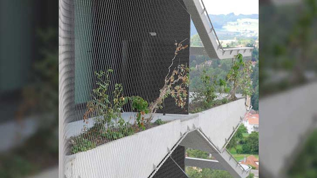 image-6979