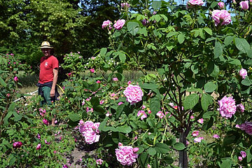 Image-4651