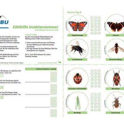 Zählhilfe Insekten