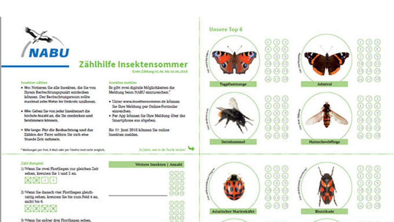 Zählhilfe Insekten