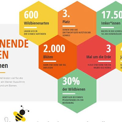 Weltbienentag
