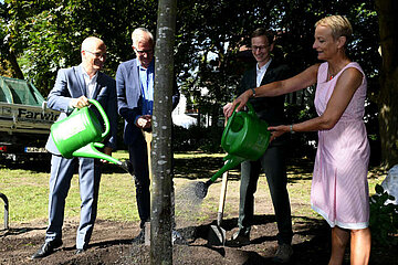 Image-17007