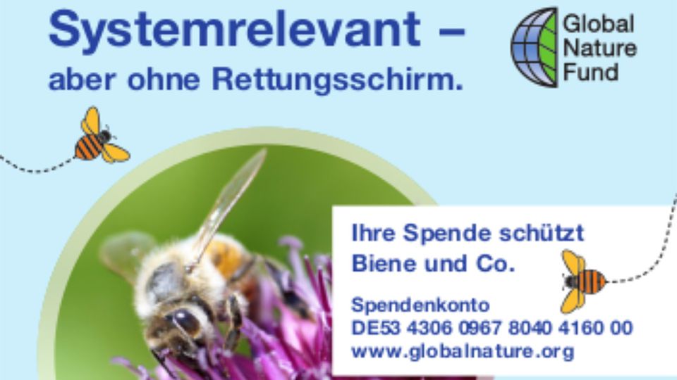 Biodiversität auf Firmengeländen
