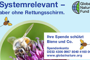 Biodiversität auf Firmengeländen