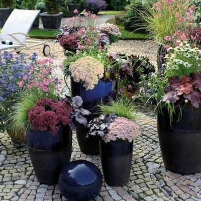 Stauden und Sommerblumen