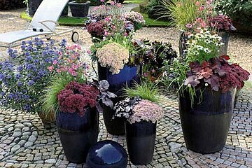 Stauden und Sommerblumen
