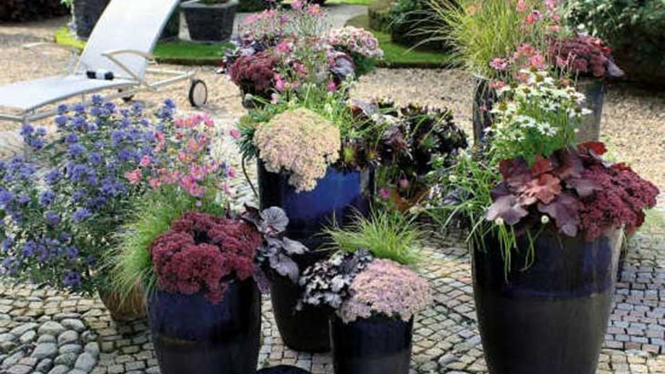 Stauden und Sommerblumen