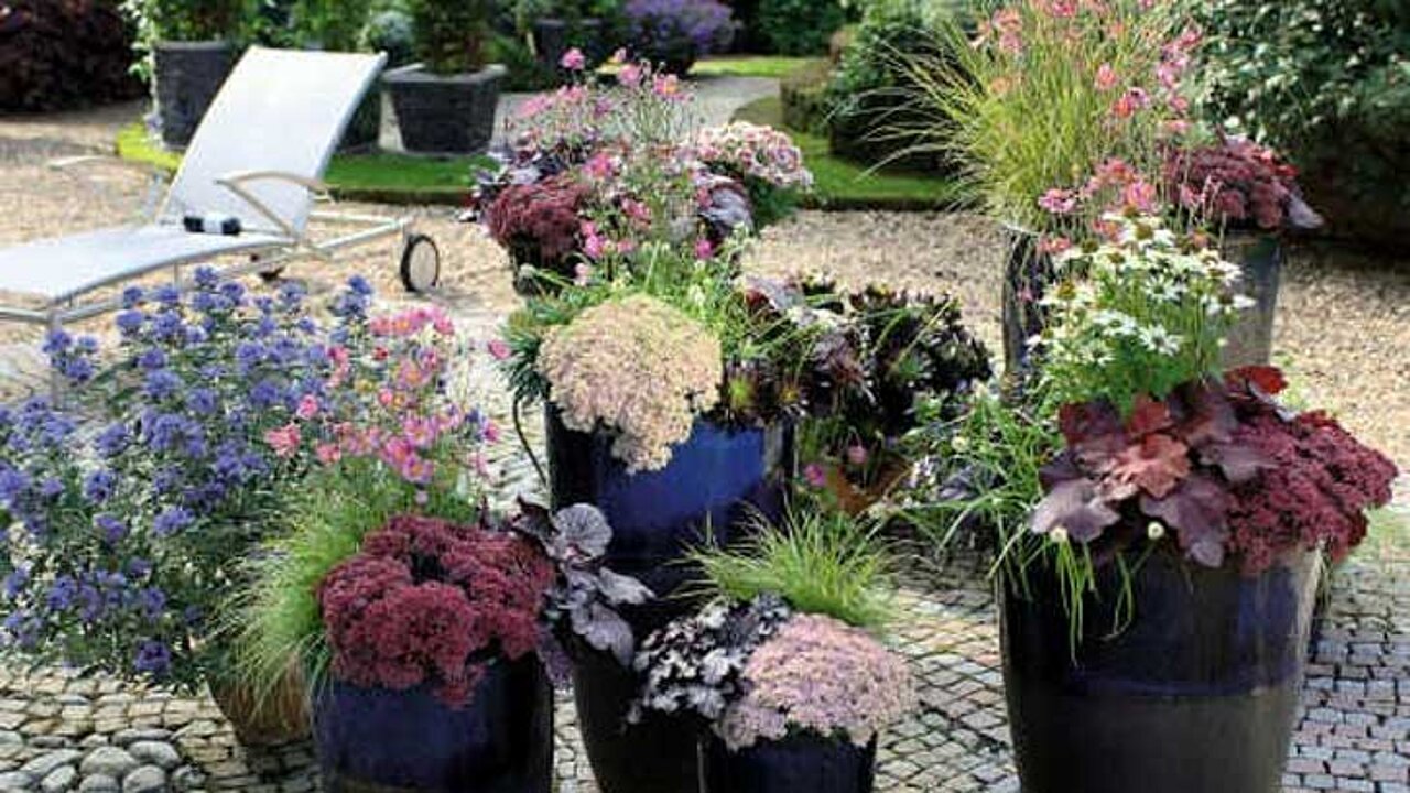 Stauden und Sommerblumen
