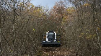 Bobcat Kompaktmaschinen gegen Waldbrand