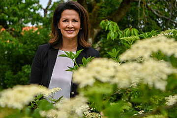 Image-13082