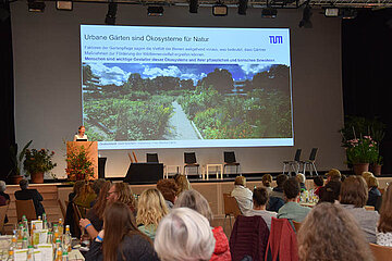 Image-15491