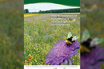 Praxishandbuch OeVF