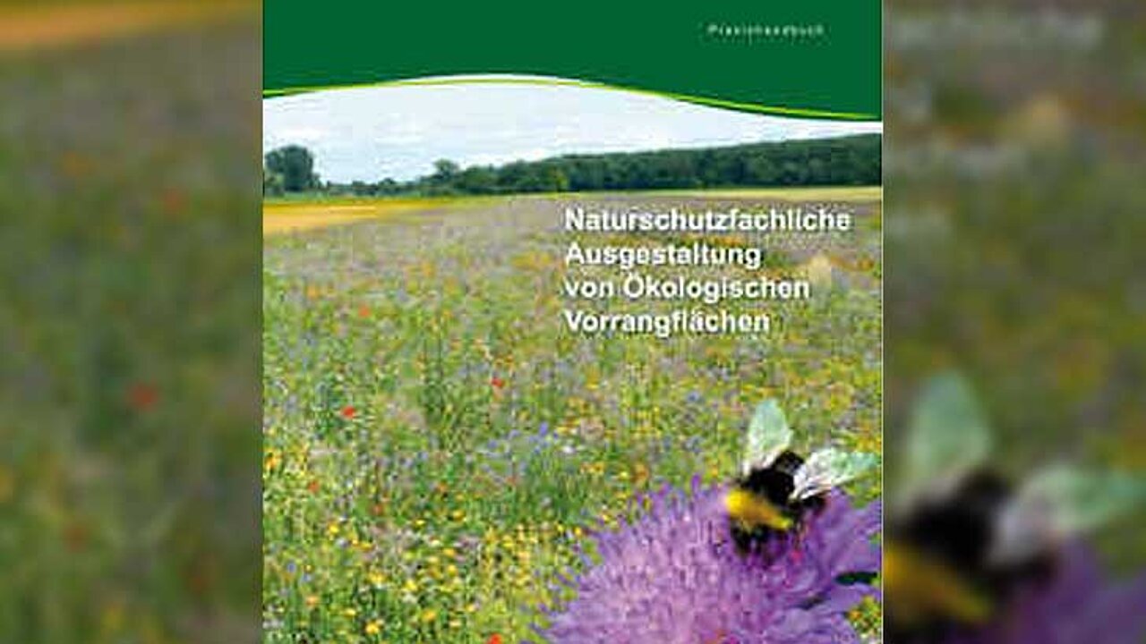 Praxishandbuch OeVF