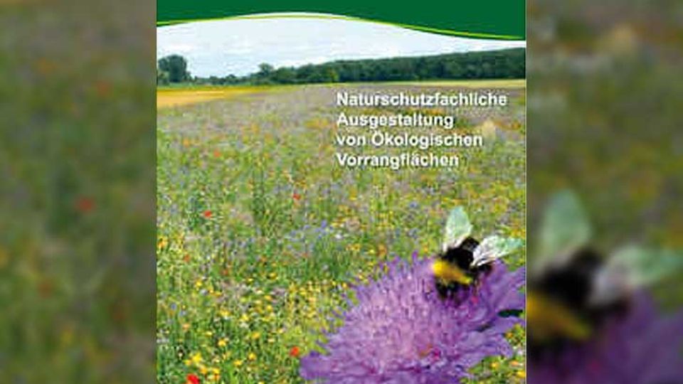 Praxishandbuch OeVF