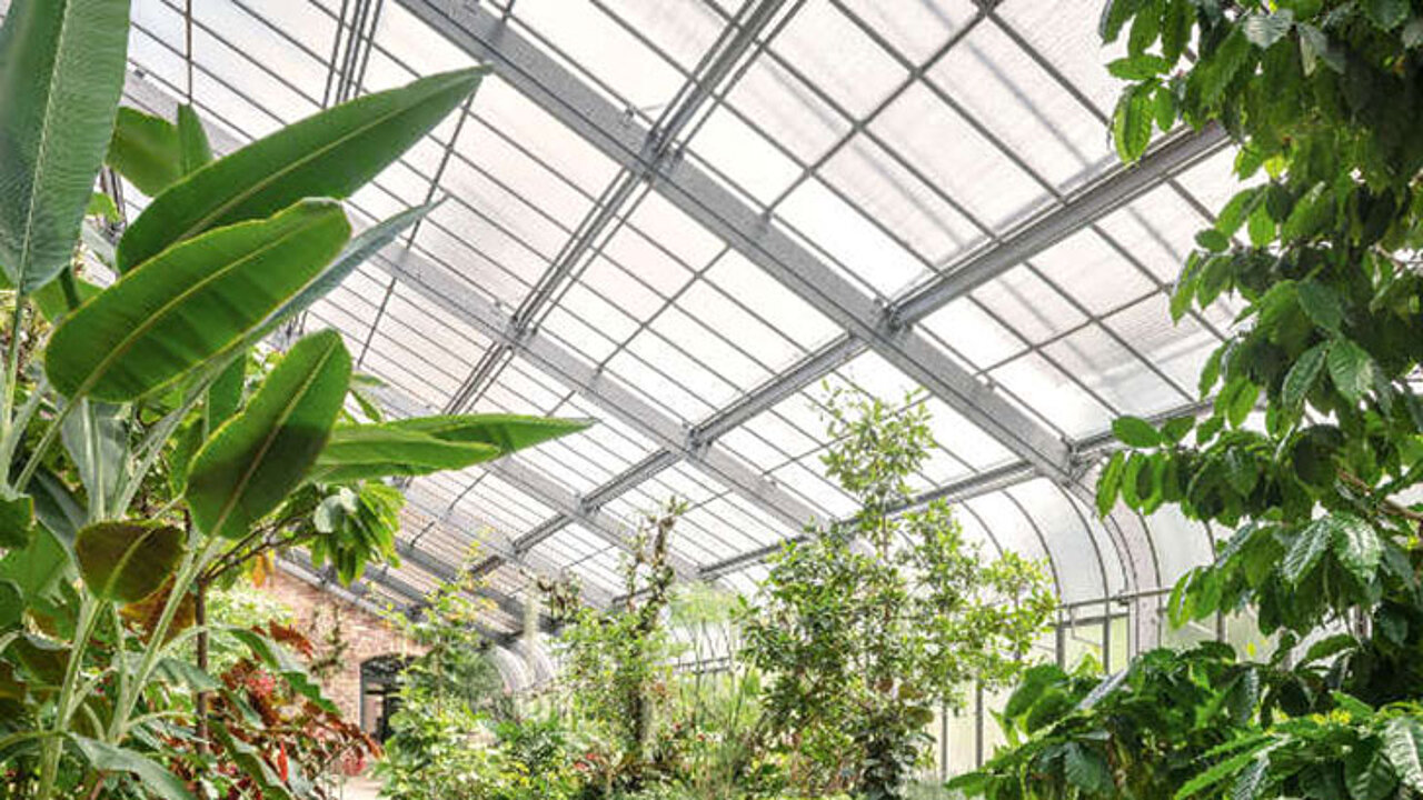 Botanischer Garten Karlsruhe