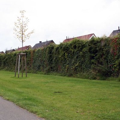 ökologische Lärmschutzwand