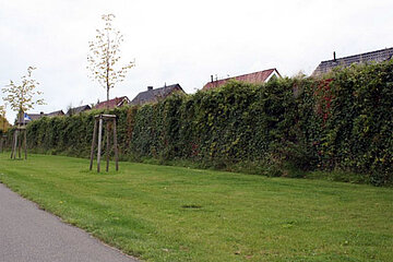 ökologische Lärmschutzwand